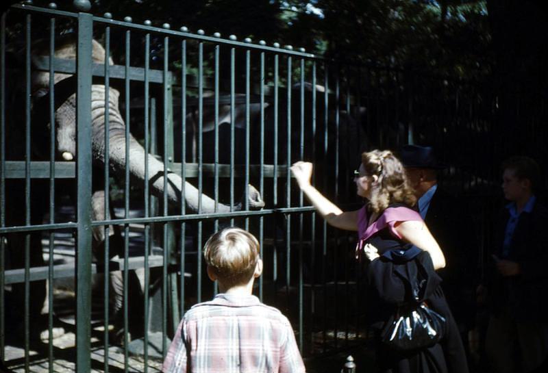 Undated_Zoo0001.JPG