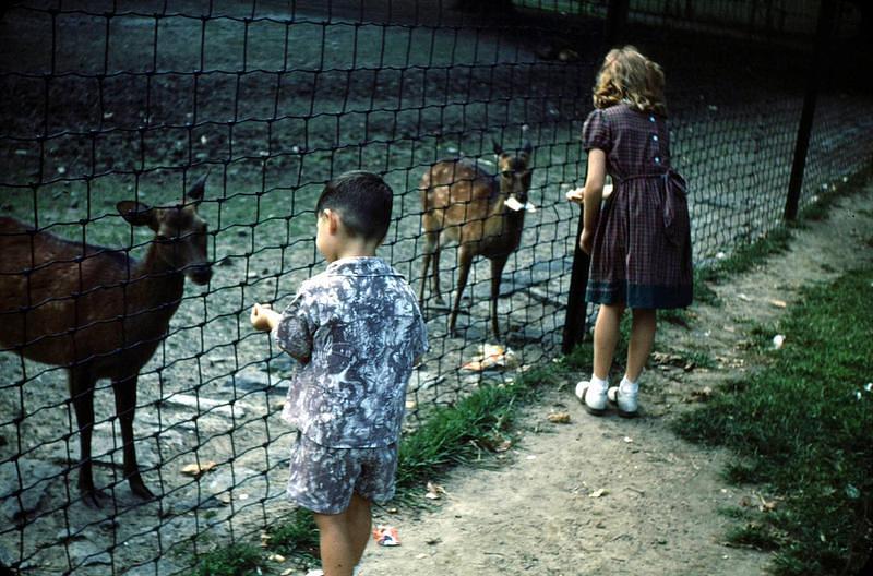 Undated_Zoo0016.JPG