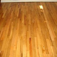The Refinished Flooring